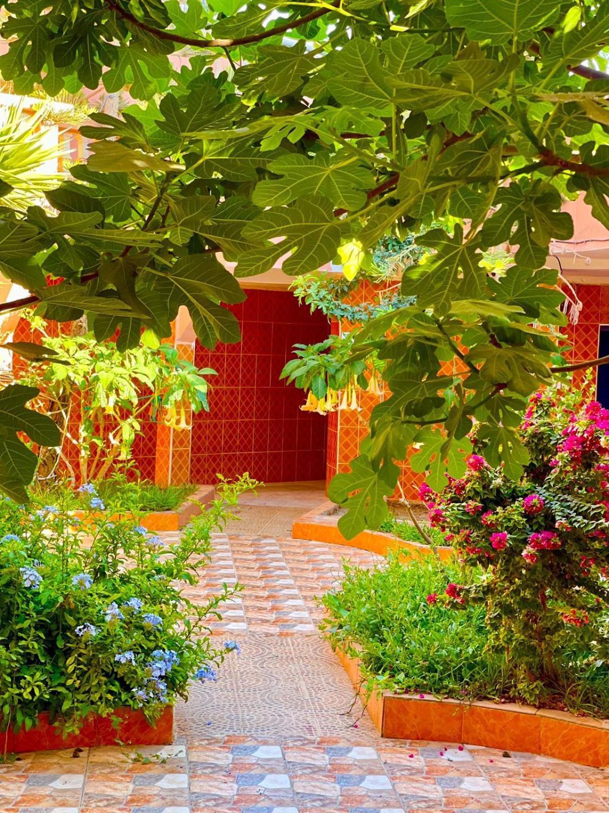 Surf & Salsa Ocean House Tamraght Exterior foto